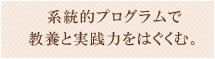 諸実習に向けての系統的プログラミング